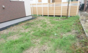 ティーナ施工前